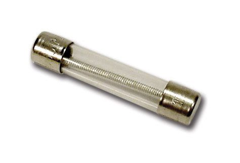 Time Delay Fuse 10 amp, 250V