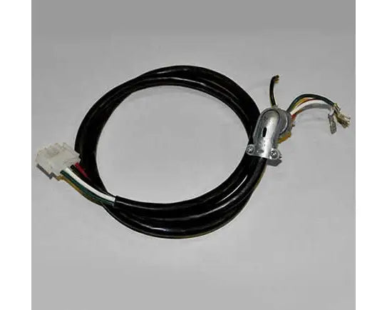 Cord 2 Speed Pump 4ft 4 Pin AMP (2006+) | Beachcomber Hot Tubs Winnipeg